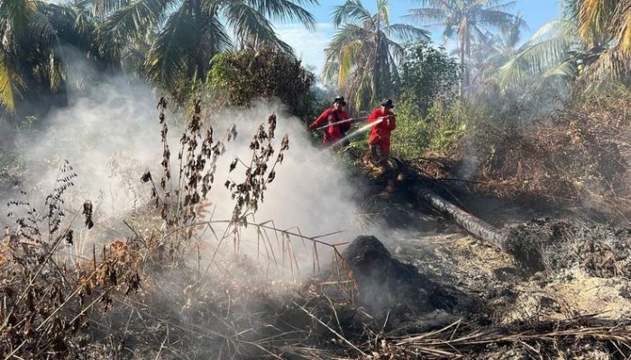 Tim Manggala Agni Intensif Padamkan Karhutla di Riau
