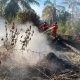 Tim Manggala Agni Intensif Padamkan Karhutla di Riau