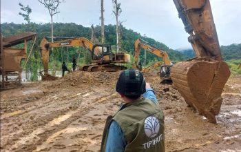 Tambang Emas Ilegal di Nabire Digerebek, 7 WNA Diamankan