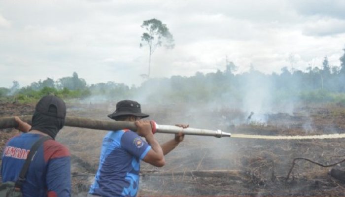 Satu Ton Garam Ditabur di Langit Aceh Barat Atasi Karhutla