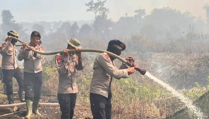 Kebakaran Lahan di Nagan Raya Berhasil Dipadamkan