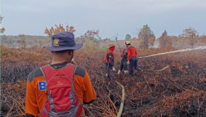Karhutla di Aceh Barat Hanguskan 31,1 Hektar Lahan