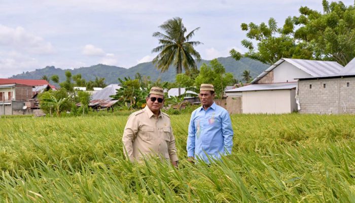 Prabowo Optimistis Indonesia Segera Jadi Lumbung Pangan Dunia