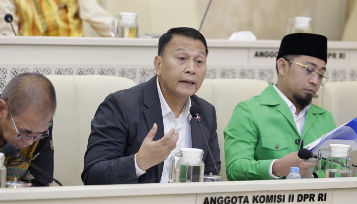 DPR RI Soroti Ketidakpastian Karier dan Hak PPPK