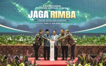 Menhut Luncurkan DSS Jaga Rimba untuk Tata Kelola Hutan
