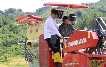Wabup Aceh Tengah Uji Combine Harvester di Pegasing