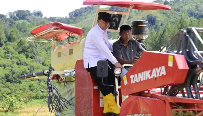 Wabup Aceh Tengah Uji Combine Harvester di Pegasing