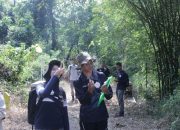Kemenhut Dorong Generasi Muda Lestarikan Hutan