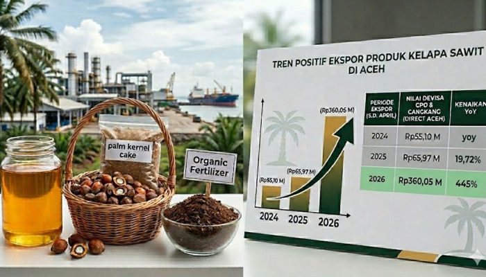 Devisa Ekspor Sawit Aceh Melonjak 445 Persen Awal 2026