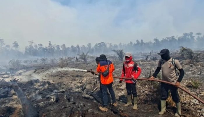 Karhutla di Lima Kabupaten, Polda Aceh Usut Tuntas