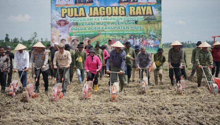 Polda Aceh Luncurkan Penanaman Jagung Bersama Petani Muda Pidie