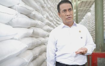 Beras Tak Lagi Jadi Penyumbang Inflasi Utama
