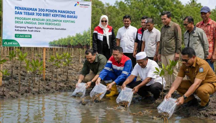 PHE NSO Tanam 300 Mangrove dan Tebar 700 Bibit Kepiting