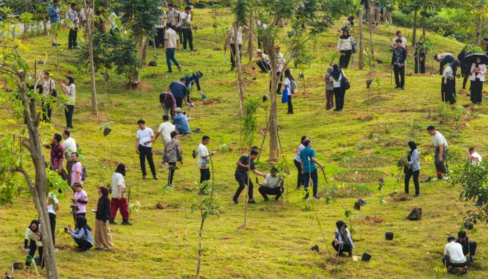 Budaya Menanam Mengakar di IKN, 1.153 Pohon Ditanam