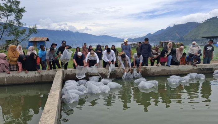 Wabup Aceh Tengah Tebar 10.000 Benih Ikan di Bebesen