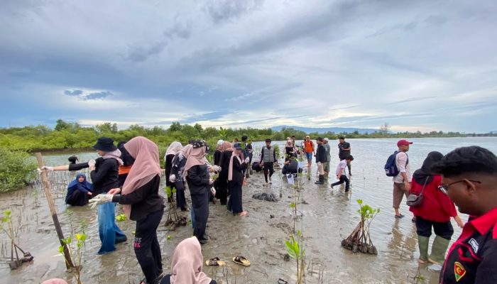 Pelajar dan Mahasiswa Tanam 300 Mangrove di Pesisir Aceh Besar