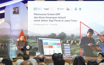 OJK dan ILO Perluas Akses Pembiayaan Peternak Sapi Perah