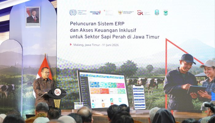 OJK dan ILO Perluas Akses Pembiayaan Peternak Sapi Perah