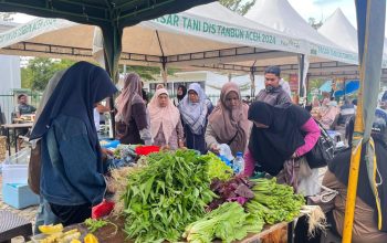 Pasar Tani Aceh 2026 Diserbu Warga, UMKM Diminta Terus Berinovasi