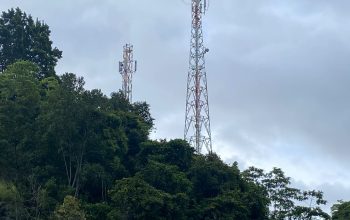 Sudah Sepekan Jaringan Telkomsel di Dayah Mamplam Leupung Hilang Total