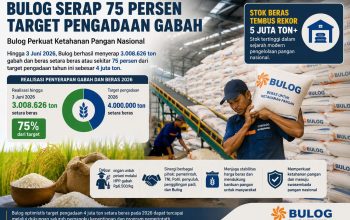 Bulog Serap 3 Juta Ton Beras Hingga Juni