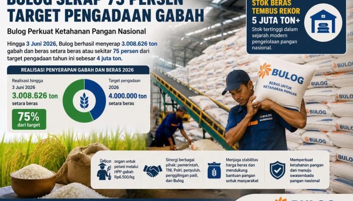 Bulog Serap 3 Juta Ton Beras Hingga Juni