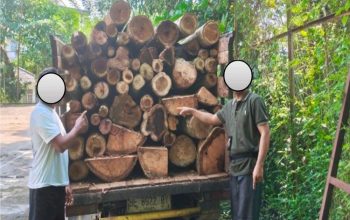 Dua Pelaku Pembalakan Liar Diciduk, 62 Kayu Disita