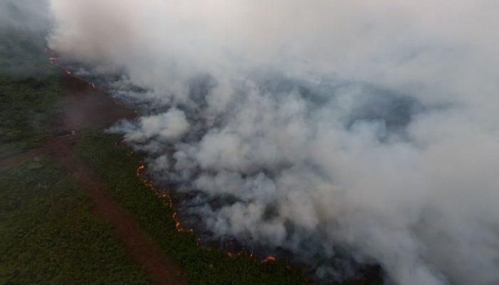 BMKG Deteksi 65 Titik Panas di Aceh, Aceh Selatan Terbanyak