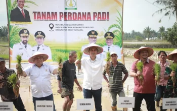 Pemulihan Sawah Aceh Capai 32 Persen Pascabencana Hidrometeorologi