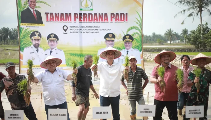 Pemulihan Sawah Aceh Capai 32 Persen Pascabencana Hidrometeorologi