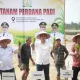 Pemulihan Sawah Aceh Capai 32 Persen Pascabencana Hidrometeorologi