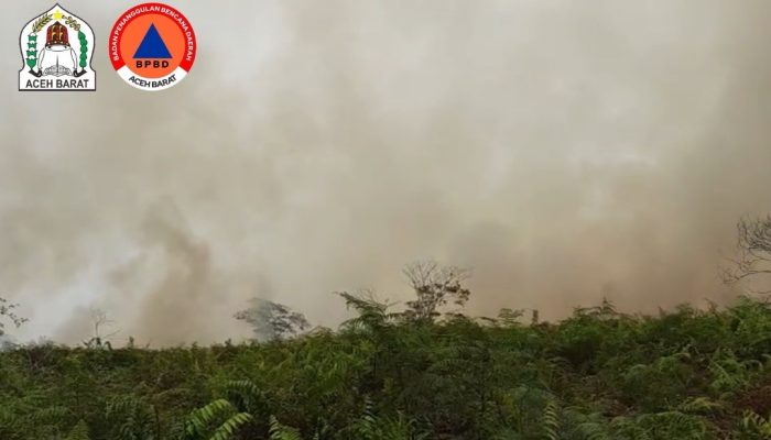 Karhutla Hanguskan Delapan Hektare Lahan di Aceh Barat