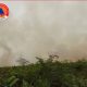 Karhutla Hanguskan Delapan Hektare Lahan di Aceh Barat