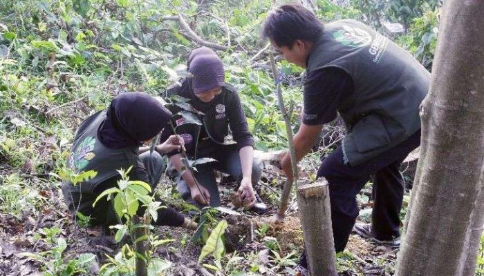 Kemenhut Cetak Generasi Muda Penjaga Hutan Indonesia