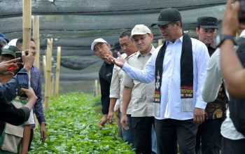 Mentan Targetkan Kopi Gayo Kuasai Pasar Dunia Lewat Hilirisasi