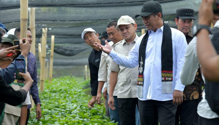 Mentan Targetkan Kopi Gayo Kuasai Pasar Dunia Lewat Hilirisasi