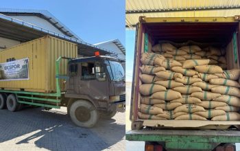 PEMA Perluas Ekspor Kopi Gayo Tembus Pasar Amerika Serikat