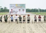 Aceh Tamiang Mulai Tanam Perdana dengan Teknologi PM-AAS