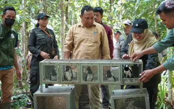 Karantina Papua Selamatkan Flora dan Fauna Endemik