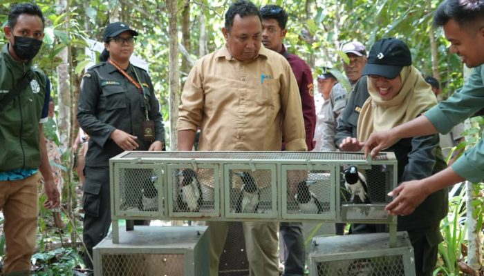 Karantina Papua Selamatkan Flora dan Fauna Endemik