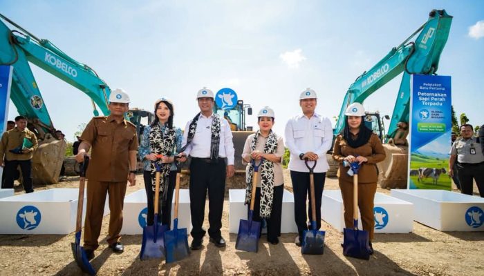Mentan: Selama Peternak Mampu Produksi Susu, Impor Dihentikan