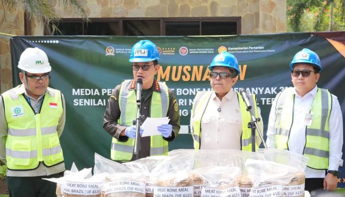 Barantin Musnahkan 312 Ton MBM Terkontaminasi Porcine
