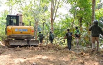 Dua Perambah TSBBS Lampung Jadi Tersangka