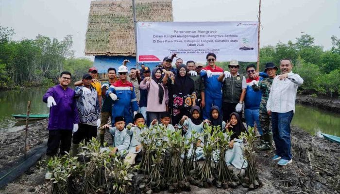Pertamina EP Tanam 2.500 Mangrove di Langkat