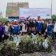 Pertamina EP Tanam 2.500 Mangrove di Langkat