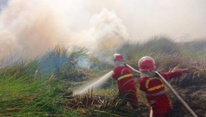 Kemenhut Siagakan 180 Manggala Agni Hadapi Karhutla Kalsel