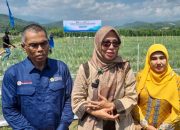Pakar USK Sulap Lahan Bekas Banjir Jadi Kebun Produktif