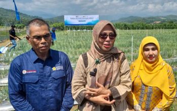 Pakar USK Sulap Lahan Bekas Banjir Jadi Kebun Produktif
