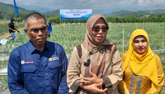 Pakar USK Sulap Lahan Bekas Banjir Jadi Kebun Produktif