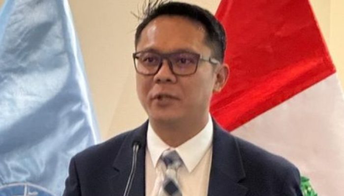 Indonesia Tegaskan Komitmen Kelola Gambut di Forum Global